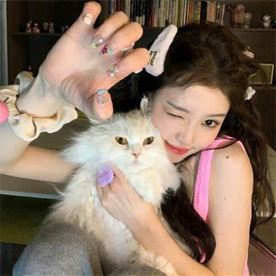 纸盒藏尸之公审